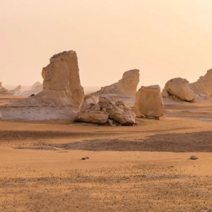 un-desierto-de-tiburones-fue-descubierto-en-el-desierto-de-egipto-con-7-especies-diferentes