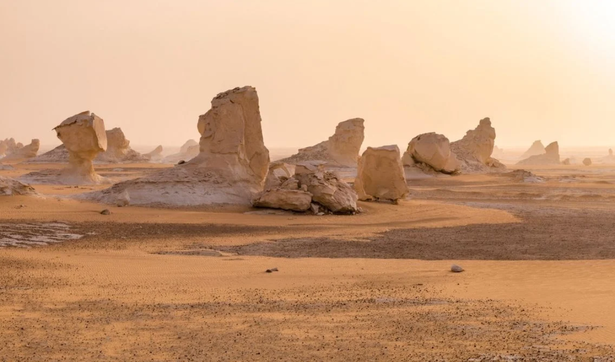 un-desierto-de-tiburones-fue-descubierto-en-el-desierto-de-egipto-con-7-especies-diferentes