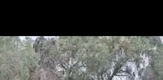 Incendio termina con una mujer agredida y un detenido en Ovalle incendio-termina-con-una-mujer-agredida-y-un-detenido-en-ovalle