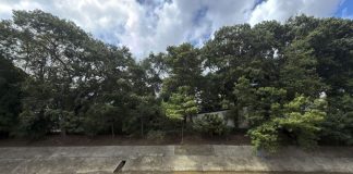 Inameh prevé lluvias de intensidad variable y actividad eléctrica por el paso de dos ondas tropicales inameh-preve-lluvias-de-intensidad-variable-y-actividad-electrica-por-el-paso-de-dos-ondas-tropicales