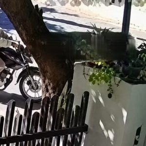 lacras-asaltan-a-abuelita-y-le-roban-el-celu-en-caaguazu