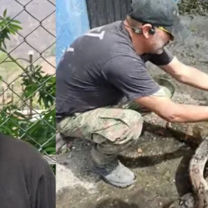 el-hombre-que-rescata-animales-en-medio-de-los-incendios-forestales-en-el-tolima:-‘es-mas-facil-para-mi-cuidar-que-matar’