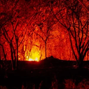 incendios-en-colombia-hoy-martes-25-de-agosto:-abelardo-de-la-espriella-denuncia-manos-criminales-y-pide-ayuda-a-chile-y-estados-unidos-por-fuegos