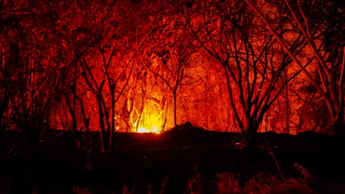 incendios-en-colombia-hoy-martes-25-de-agosto:-abelardo-de-la-espriella-denuncia-manos-criminales-y-pide-ayuda-a-chile-y-estados-unidos-por-fuegos