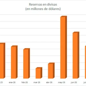fitch-duda-sobre-la-sostenibilidad-de-las-rin-de-bolivia