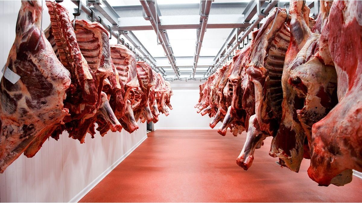 exportaciones-de-carne-vacuna-crecieron-42%-y-ya-generaron-casi-u$s2.800-millones-en-2026