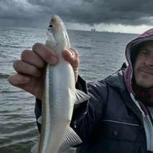 desafio-al-mal-tiempo-y-encontro-al-pejerrey:-gran-pesca-en-las-barrancas