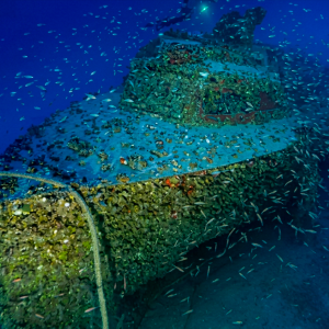 tras-13-anos-de-busqueda,-hallan-a-96-metros-bajo-el-mar-un-buque-aleman-de-la-segunda-guerra-mundial:-su-conservacion-es-excepcional