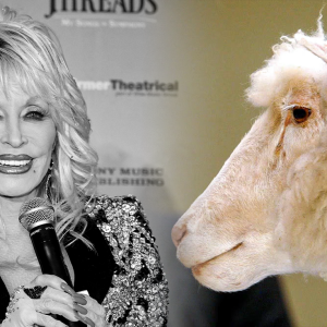 dolly-parton-y-la-oveja-clonada-que-cambio-la-ciencia-en-1997:-la-peculiar-razon-por-la-que-compartieron-nombre