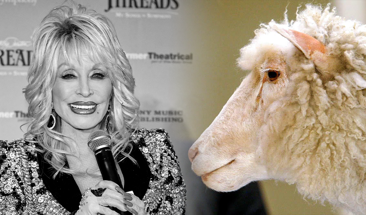 dolly-parton-y-la-oveja-clonada-que-cambio-la-ciencia-en-1997:-la-peculiar-razon-por-la-que-compartieron-nombre