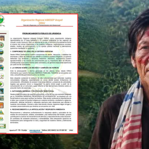 ucayali:-guardia-indigena-confirma-que-el-lider-asheninka-americo-pascual-tumisha-esta-vivo