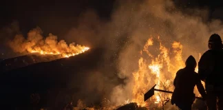 Emergencia en Nariño: incendios consumen cultivos en seis municipios y autoridades investigan posibles manos criminales emergencia-en-narino:-incendios-consumen-cultivos-en-seis-municipios-y-autoridades-investigan-posibles-manos-criminales