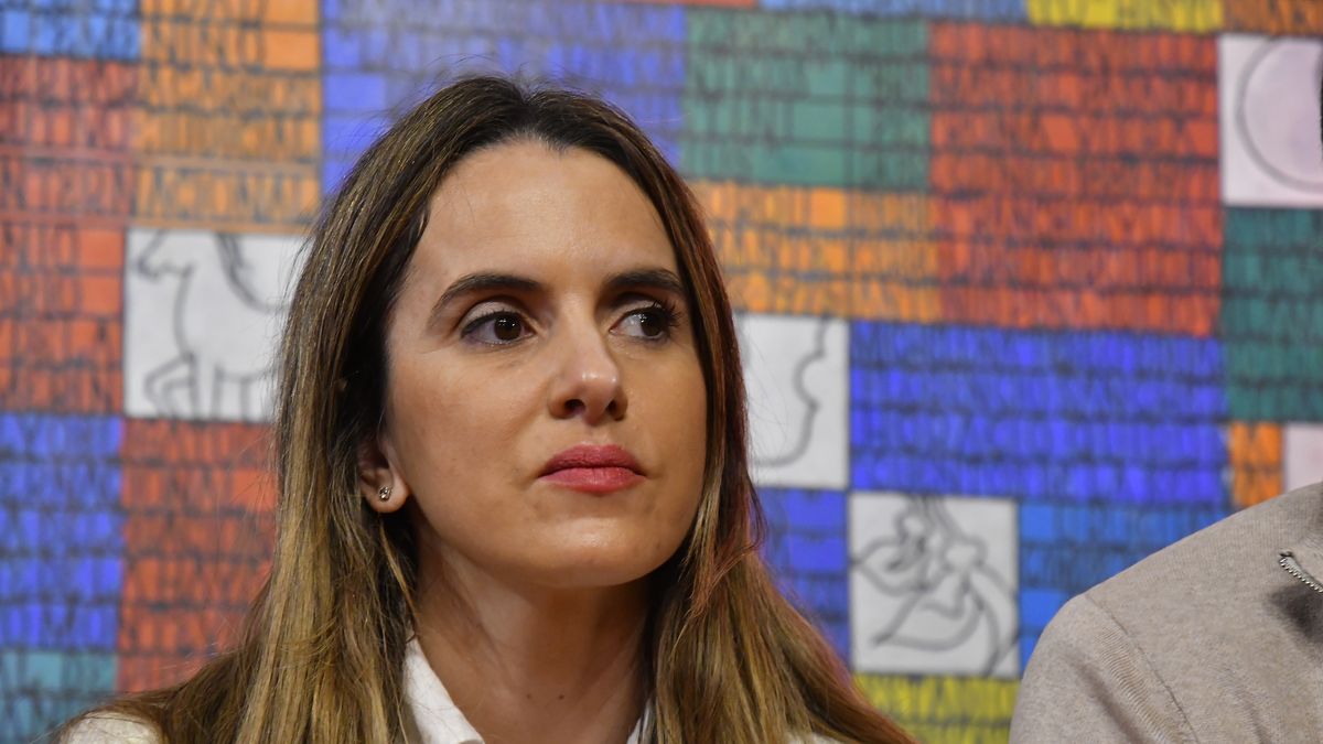 carolina-ache-mintio-en-la-investigacion-administrativa-de-cancilleria-por-el-pasaporte-de-marset