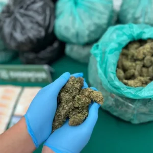 baco-vuelve-a-dar-el-golpe:-carabineros-incauta-casi-16-kilos-de-marihuana-en-ruta-5-en-ovalle