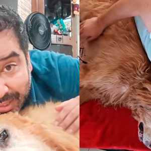 actor-junior-silva-sufre-por-la-salud-de-su-perrito-de-14-anos-y-responde-fuerte-a-quienes-le-aconsejan-que-lo-duerma:-todavia-quiere-vivir