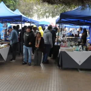 grupo-la-secta-sera-el-encargado-de-cerrar-verbena-solidaria-en-plaza-de-armas-de-la-serena