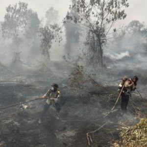 en-indonesie,-les-iles-de-borneo-et-de-sumatra-en-proie-a-des-feux-de-tourbiere-gigantesques-et-incontrolables