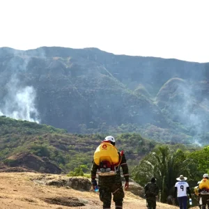 incendios-en-colombia-hoy-sabado-29-de-agosto:-ultimas-noticias,-balance-de-la-emergencia-y-nuevos-focos-en-el-pais