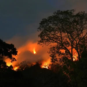 los-incendios-forestales-mantienen-bajo-alerta-a-por-lo-menos-5-regiones
