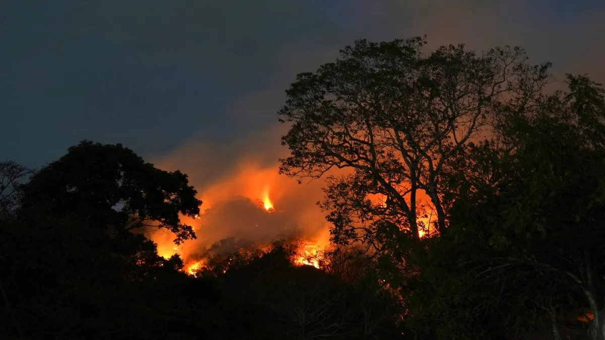 los-incendios-forestales-mantienen-bajo-alerta-a-por-lo-menos-5-regiones